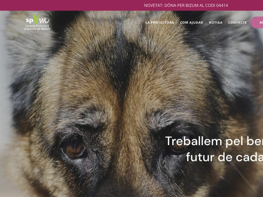 nova-noticia-web