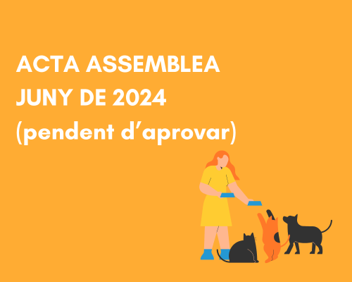 assemblea 2024 encaixada