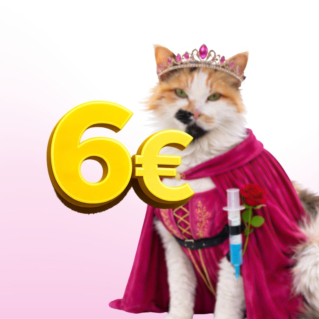 kinder 36